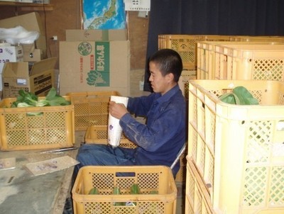 出國打工需要符合哪些條件